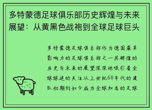 多特蒙德足球俱乐部历史辉煌与未来展望：从黄黑色战袍到全球足球巨头