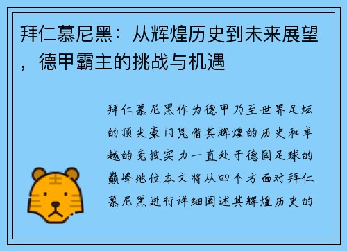 拜仁慕尼黑：从辉煌历史到未来展望，德甲霸主的挑战与机遇
