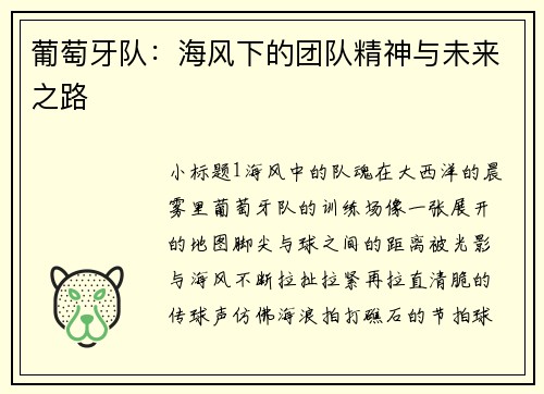 葡萄牙队：海风下的团队精神与未来之路