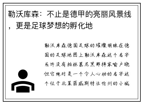 勒沃库森：不止是德甲的亮丽风景线，更是足球梦想的孵化地